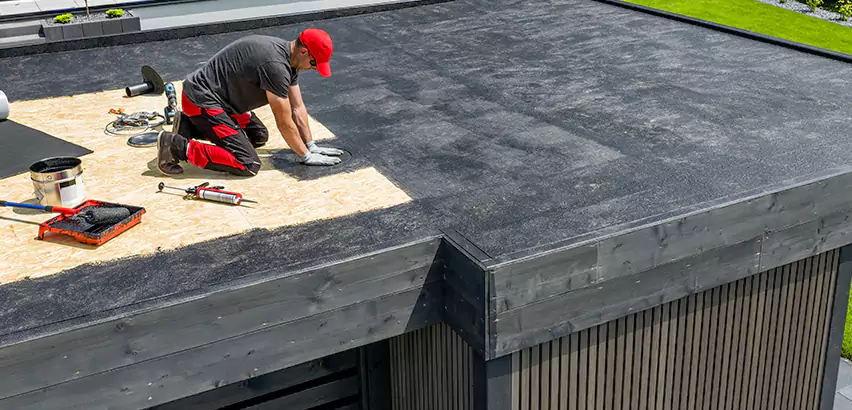 Professional TPO Roofing Services in Palatine, IL
